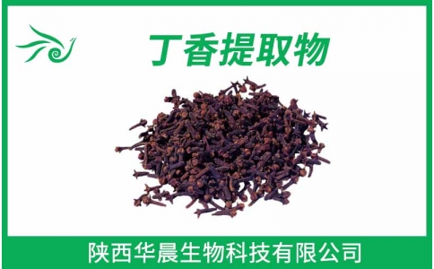 丁香提取物、母丁香提取物、公丁香提取物