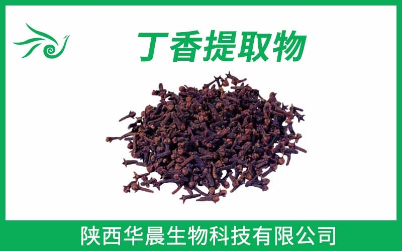 丁香提取物、母丁香提取物、公丁香提取物