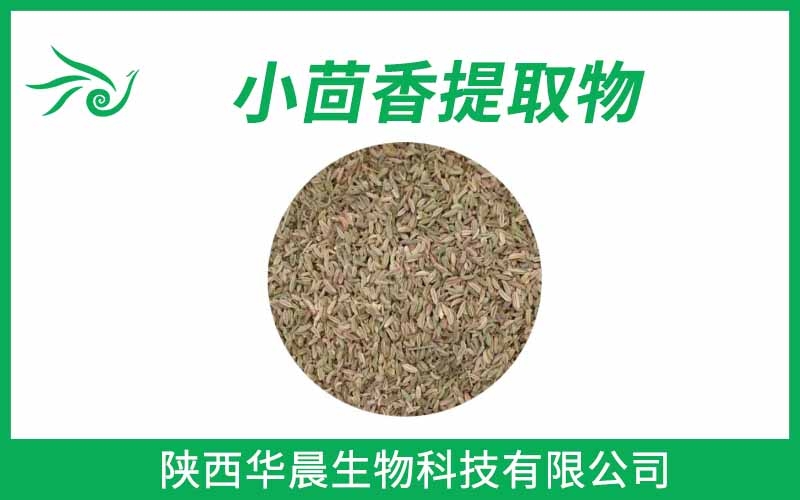 小茴香提取物