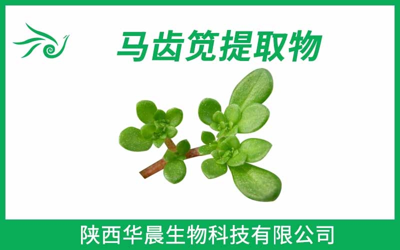 馬齒莧提取物、馬齒筧提取物