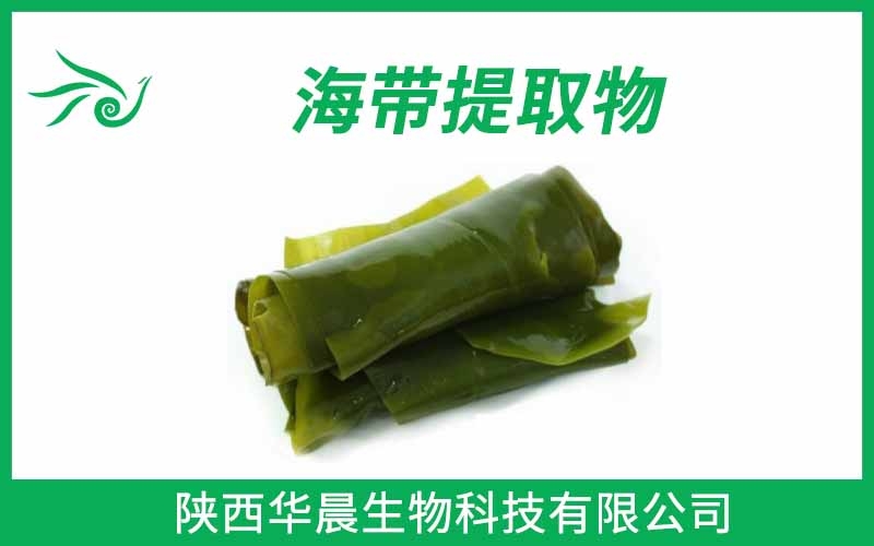 海帶提取物、昆布提取物