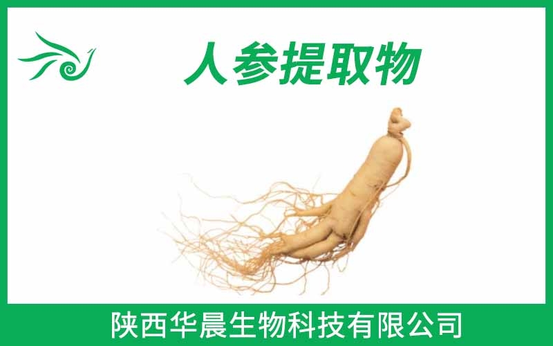 人參提取物