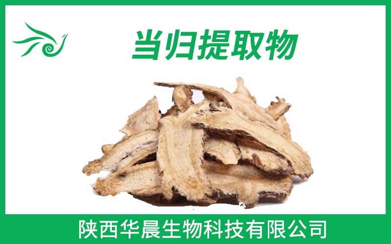 當(dāng)歸提取物