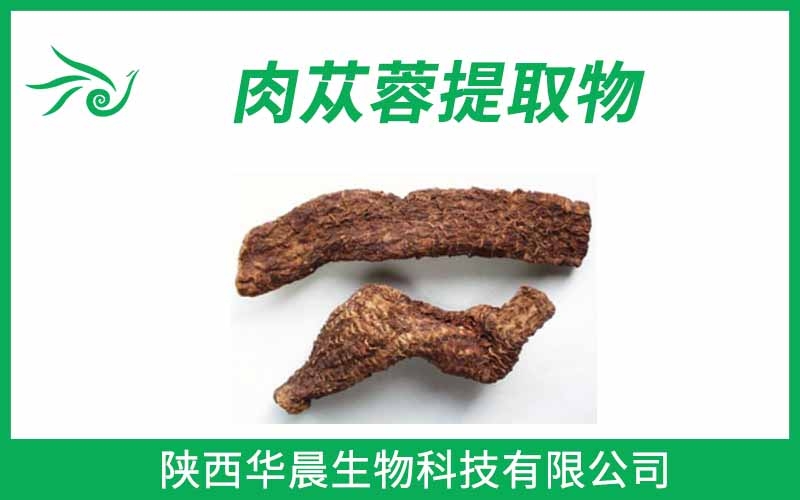 肉蓯蓉提取物